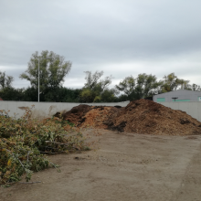 Úložiště rostlinného materiálu